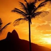 名侦探柯南,步美和光彦导致灰原哀身份暴露,灰