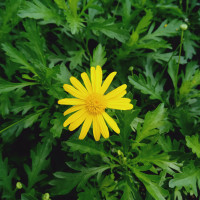 大家好,我是亿万富翁,不装摊牌了太逗了!