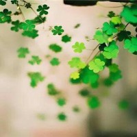 无硼砂无甘油起泡胶教程,声控解压,玩到爱不释