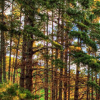 你说过两天来看我 一等就是一年多 三百六十五