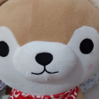 《尕撒拉》这首欢快的歌曲 菲儿演唱确实不一