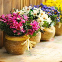 变形计:有钱妈妈花200万,让农村娃见到了NBA