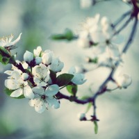 跨界歌王半决赛:宁静一首《烟火里的尘埃》,低