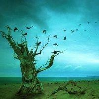 重拳堪比泰森!大卫·图阿凶猛KO合集