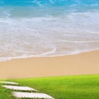 汪汪队立大功第三季:旺旺队总部小丽接任务用