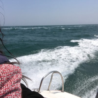 御姐归来: 安以轩给帅哥按摩,帅哥颜值真的太高