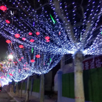 就连一条鱼都有这样逆流而上的勇气!你有什么