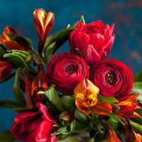 名记爆高层正研究申办世界杯,时间在2030年