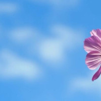 快速有效爆汗减肥运动,忍忍比健身房跑步一个