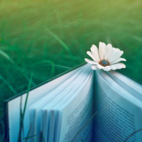 史上最经典的闽南语金曲,十二大美女演唱,好听