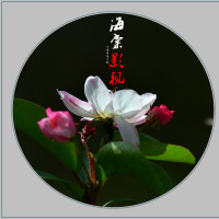 斗罗大陆:唐三重新回到唐门,但是以前的记忆为