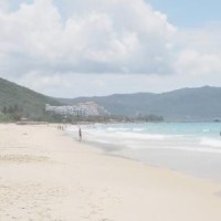 熊出没:光头强睡一觉醒来家徒四壁了,强哥懵逼