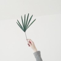 26岁帅哥惨遭24位美女灭灯,不料下一幕剧情大