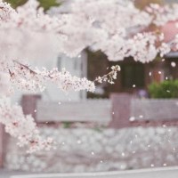 臧鸿飞首度回应离婚摘下戒指放梳妆台净身出户