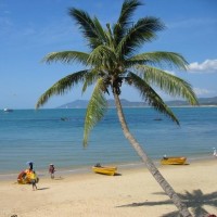 经典电影《阿郎的故事》主题曲《阿郎恋曲》