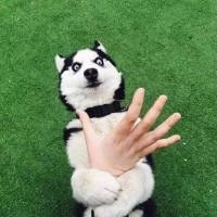 创造101-《别人家的小孩》王炸配置,心中全场