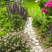 终于找到完整版了 广西最牛乞丐,他唱歌不输