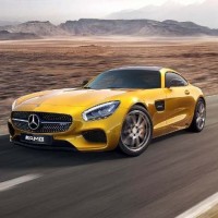 第3讲 瑞天图书管理系统的单个读者录入?