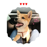 大家和马丁一起来念这首卧梅诗不笑算我的!