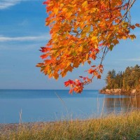 广场舞《心跳》八步教学,附完整分解动作,简单