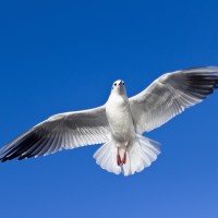 文松 宋晓峰《邮轮风云》赌王争霸 欢乐斗地主