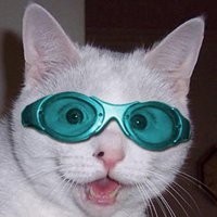 范晨晨一首民谣《奇妙能力歌》,不管单曲循环