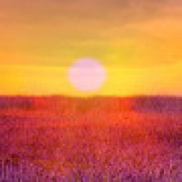 王者荣耀: 花式诸葛亮, 反向一闪实战击杀秀