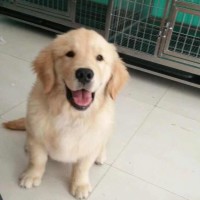 牙齿被虫蛀了一个大洞,看看医生怎么修复这颗