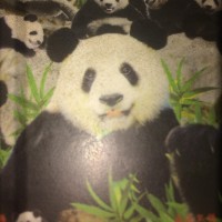 美女歌手芯妮街头演唱经典歌曲《窗外》超好听