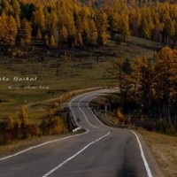 非你莫属:综艺选秀节目面试官,常春燕坚持个人