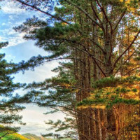 狂妄拳手扬言:谁能坚持一分钟就是胜利!对方真