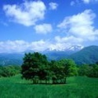 斯外戈谈第一次见杨幂她真的好漂亮,私底下像