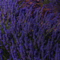 杨超越现身巴黎时装周,身穿皮衣短裙帅气十足