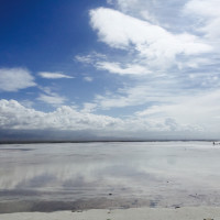 儿歌多多动画视频大全《小鸡小鸡》