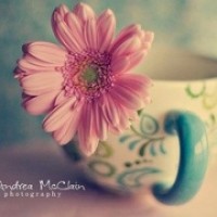 网友香港偶遇王菲李嫣 母女同款大长腿很吸睛