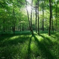 不用再去医院补牙了 这种药能让牙齿自我修复