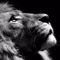 你身边是否也有一个在你努力的时候劳累的时候