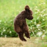 痉挛性斜颈经过几年能不能自愈?