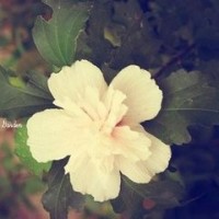 河南老君山提供一元午餐,无人收钱竟有小惊喜