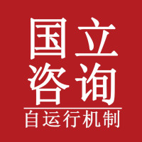 国立咨询·戴天宇《自运行机制》学员分享-九
