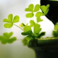 TSKS 中华TV-韩国人眼中的中国 不可小觑的中