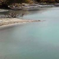 专案组成立,前妻是组长,龙飞虎是副组长,这关系