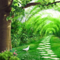 胡歌被曝美国约会薛佳凝 已复合准备领证?