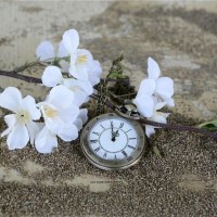 大脸妹子要仿妆鞠婧祎版韩芸汐,我就看看你怎