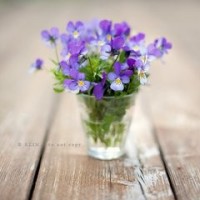 古剑奇谭2:无异和闻人要找到昭明剑,一心铲除