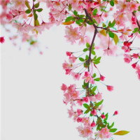 微信看不到好友的朋友圈多半是他把你拉黑或者