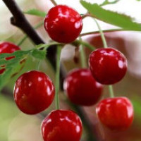 今天是个好日子,开业大吉.