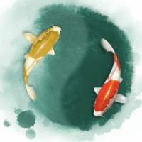 阴阳五行学说的由来