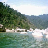 韩国艺人广州吃美食,这家小牛腿腿排真大、真