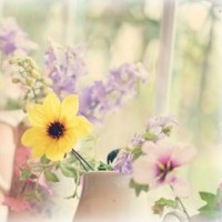 谢娜终于被拍到怀孕照片?大肚子已经藏不住了